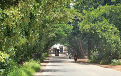 Potholes aren't the only problem on Kempegowda International Airport road; illegal speed breakers add to the mess