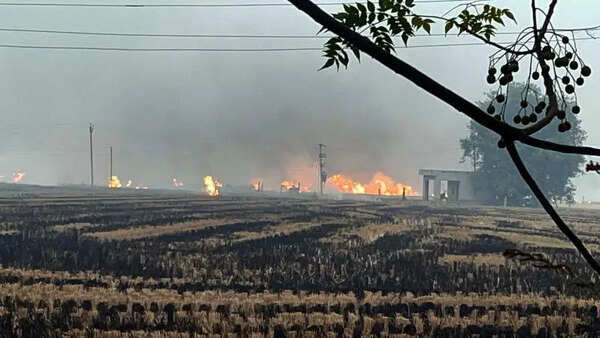 Paddy rush fuels farm fire surge, 60%-70% cases in just 3 days