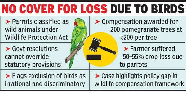 Farmers eligible for govt compensationfor crop damage by wild birds, rules HC