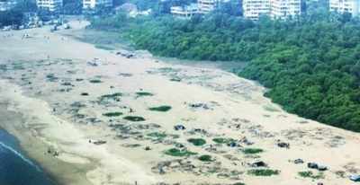 Coastal Zone drowns idea to develop Versova, Gorai beaches