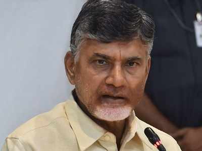 Chandrababu Naidu slams Donald Trump over H-1B visas, says US President has 'ruined the country'