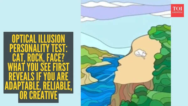 Optical illusion personality test: Cat, rock, face? What you see first reveals if you are adaptable, reliable, or creative