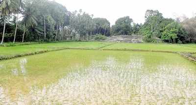 Farmers get access to scientists