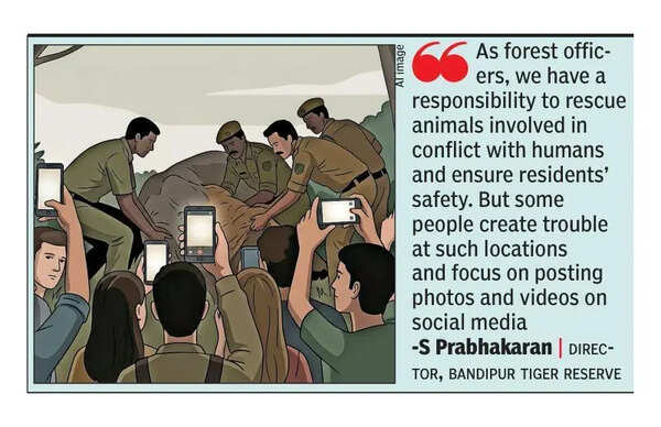 Social media crowds disrupt wildlife rescues, face action