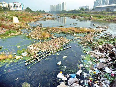 Tendering issues may delay river clean-up