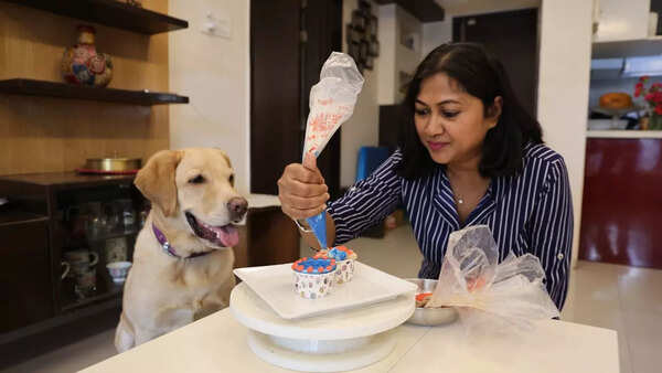 What's making gourmet pet treats a hit?