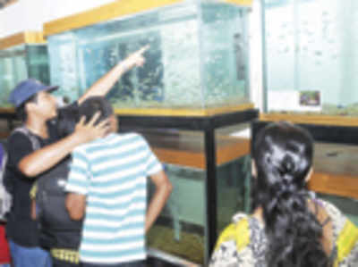 Endangered freshwater fish to be bred at Pilikula