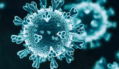 Omicron live updates: Weekly cases fall in India, but up in 9 states