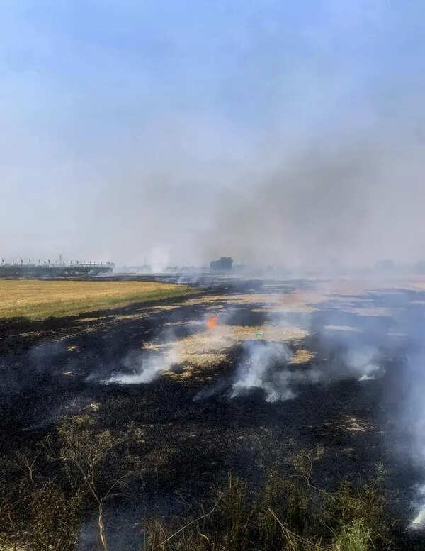 Farm fires in Punjab ease to 284, but tally crosses 8,200; 376 FIRs lodged