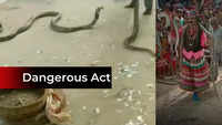 Odisha: Complaint filed against man for using giant snakes to entertain audience 