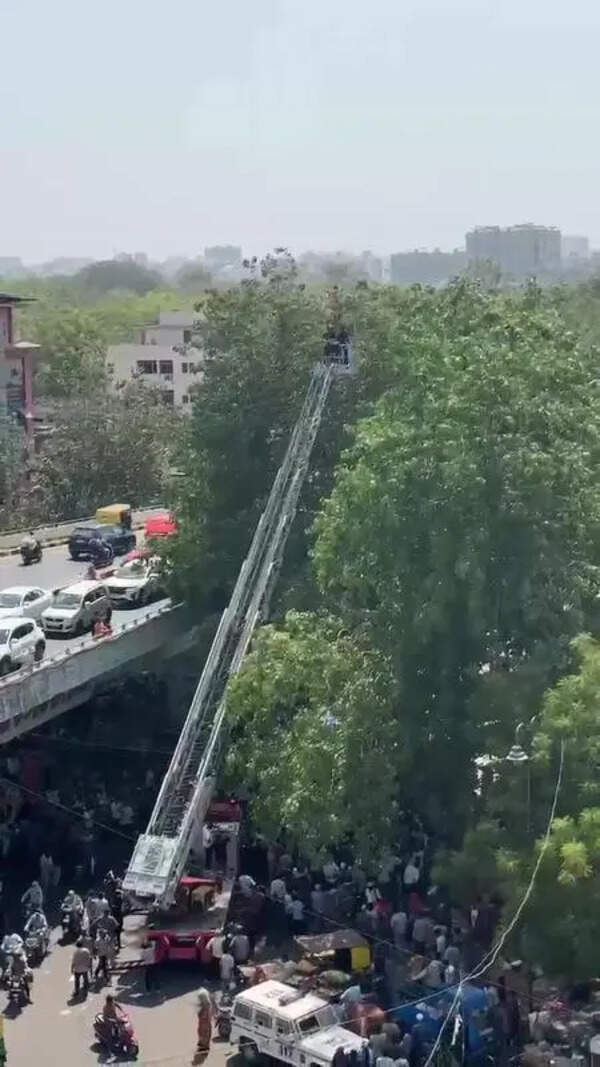 Ahmedabad: Youth climbs tree near Jamalpur flyover, triggers hour-long rescue operation