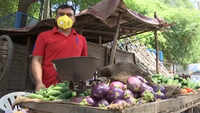 Delhi: Jobless guest lecturer selling vegetables for livelihood 