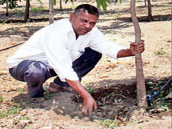 Green-thumbed worker is PCMC’s pick to beautify Kasarwadi sewage plant