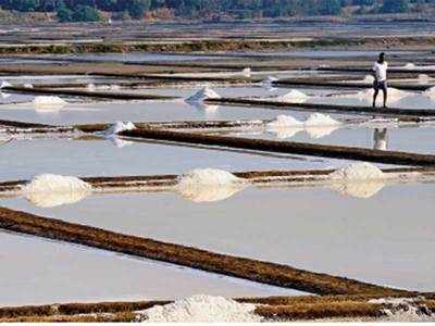 RS panel slams state for not freeing up salt pans