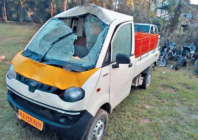 Karnataka: Bizman, driver survive a jumbo attack at Bisle Ghat