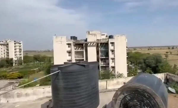 3 monkeys found dead in Nuh medical college water tanks, contaminated supply suspected