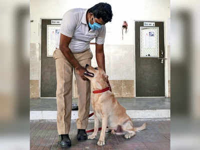 Railways scramble to keep dog squad safe