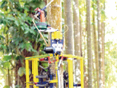 A robot that sprays disinfectant on trees