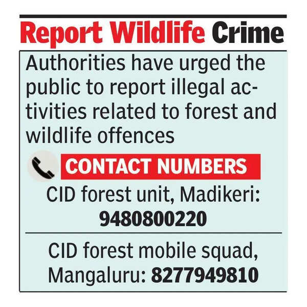 Three from B’luru held with 5.2 kg pangolin scales in Mangaluru