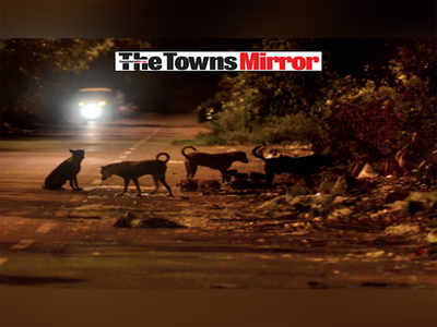 The Towns Mirror Special: Around Town