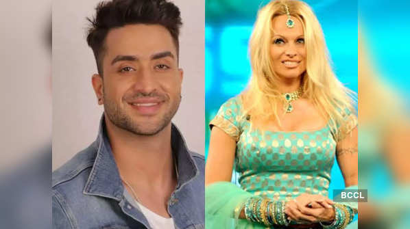 From Aly Goni to Pamela Anderson: Highest-paid Bigg Boss contestants