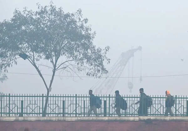 In2024, cold wave killed 168 in Punjab, 26 in HP: NCRB report