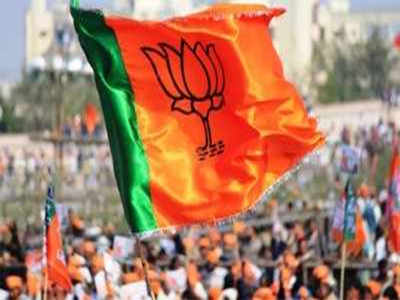 BJP to move court over missing names