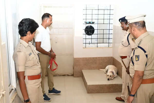 COOLER CARE FOR HAVERI POLICE CANINE UNIT DOGS