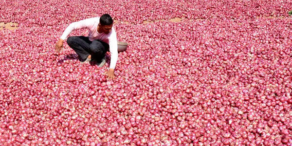Onion growers term ₹1,235 per quintal rate unviable and anti-farmer, demand ₹3,000 per quintal