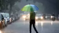 articleShow 105608090