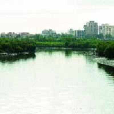 Corporators want CRZ relaxation rules for Thane
