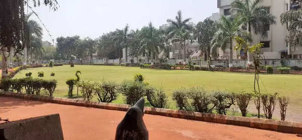Woman molested during evening walk at Race Course garden