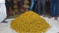Karnataka: Turmeric farmers benefit as prices surge 
