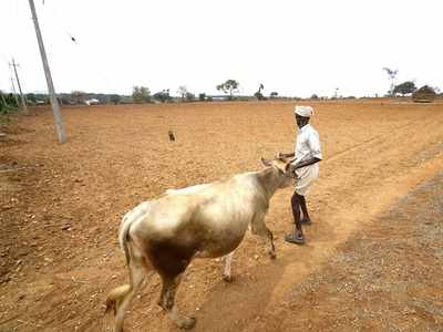Drought relief funds: Karnataka accuses Centre of being 'anti-poor'