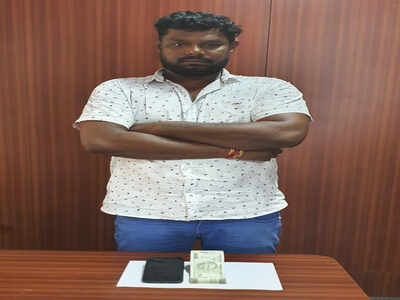 Cricket betting bookie arrested