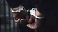 Court pulls up police over arrest of Ukrainian man