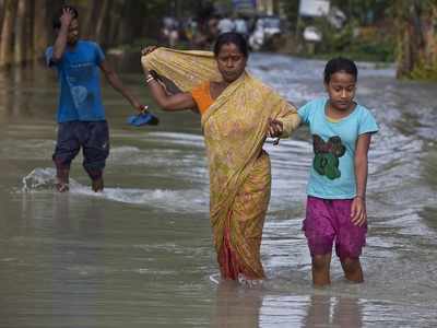 Assam flood: Death toll reaches 37; tiger rescued from a house after fleeing flooded Kaziranga