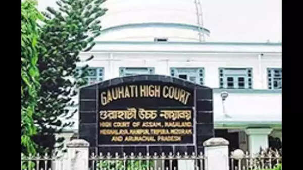 Gauhati high court raps CBI for ‘botched’ probe into twin murder case