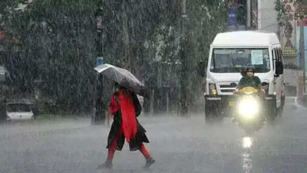 Extreme monsoon may lead to dip in sea fish catch: Study