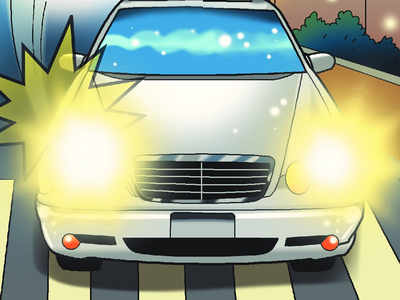 Stray mowed down by speeding ‘VIP’ car in SoBo; cops ‘helpless’