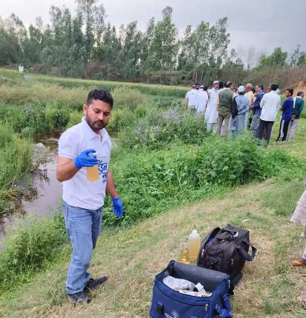 Zero dissolved oxygen at Hindon river stretches: Survey