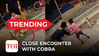 On cam: School kid nearly steps on cobra’s head 
