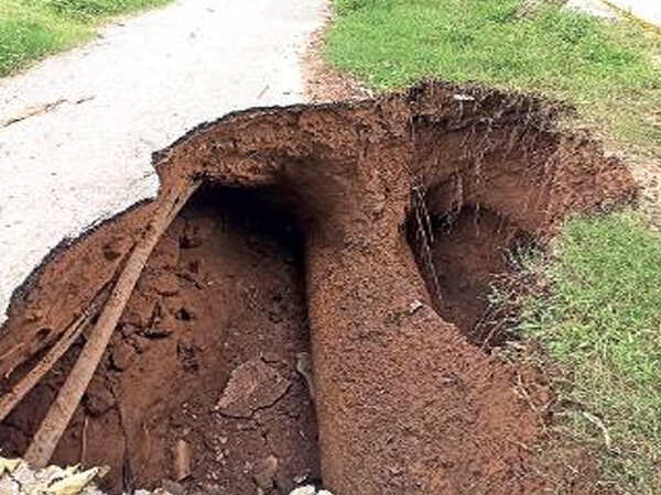 Poor cycle tracks become a hurdle for Chandigarh’s green dream