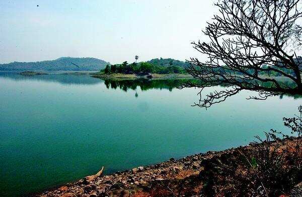 Summer heat scorches Sukhna, kills fish