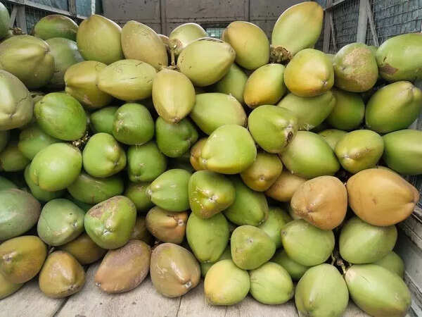State to set up wholesale tender coconut market at Santhemarahalli