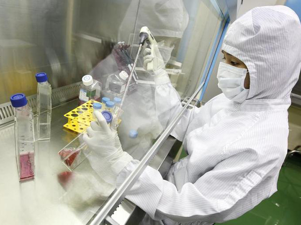 Govt seeks to define stem cells as drug, regulate use in therapy