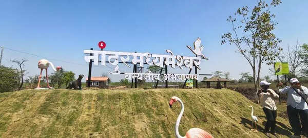 Strict noise, excavation curbs at bird sanctuary in Niphad