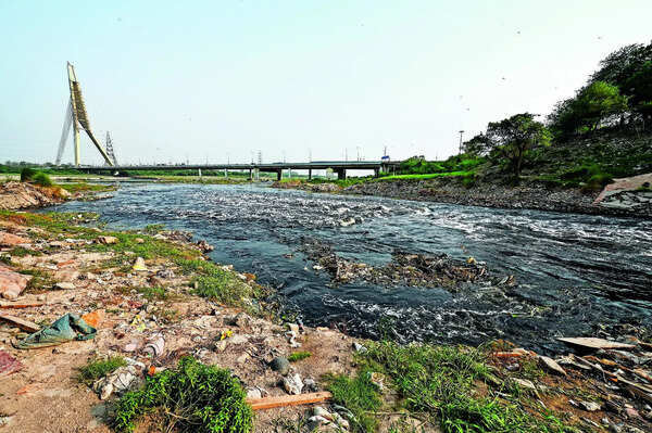 From flush to filth: Why Delhi’s sewage ends up in Yamuna