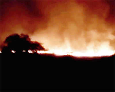 Blaze kills 17 in ammunition depot