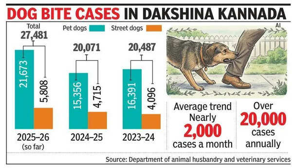 Ouch! Pet dog bites outnumber stray attacks in Dakshina Kannada